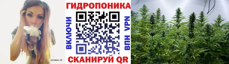 как найти закладки  Кола  Бошки марихуана VHQ 